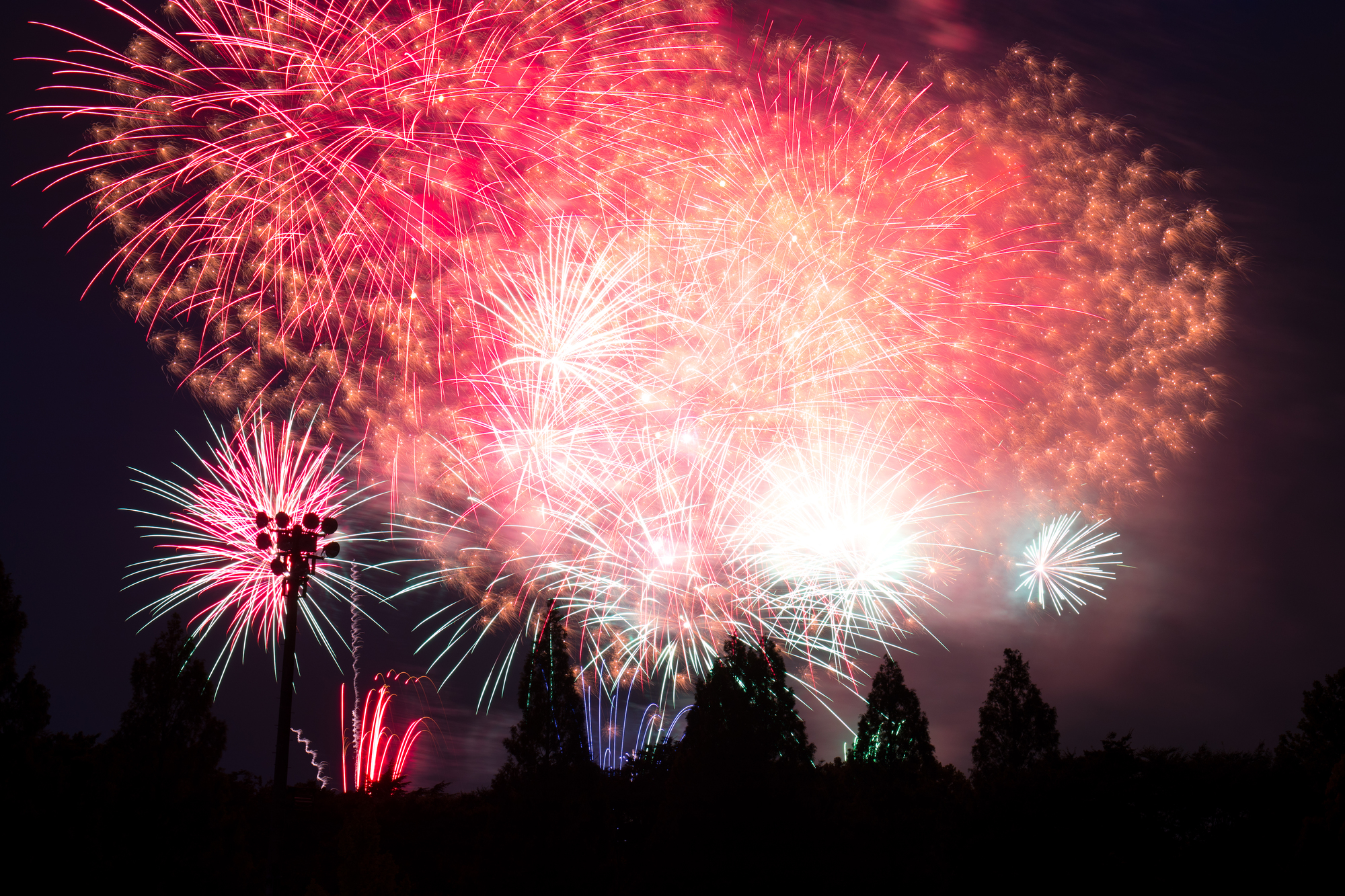 朝霞市民まつり彩夏祭打ち上げ花火(埼玉県朝霞市)