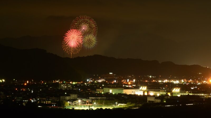 藤枝花火大会(静岡県藤枝市)