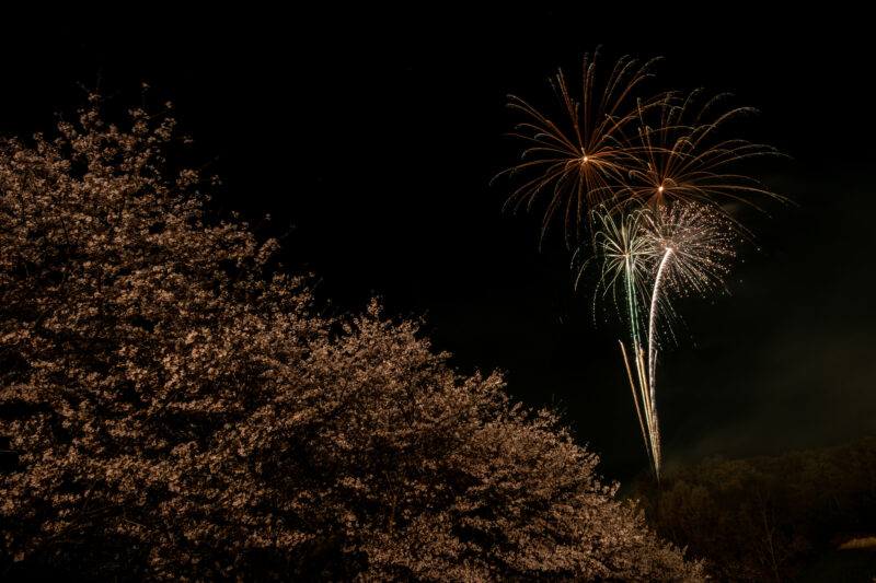 花見で花火(神奈川県中井町)