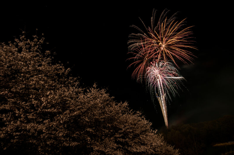 花見で花火(神奈川県中井町)