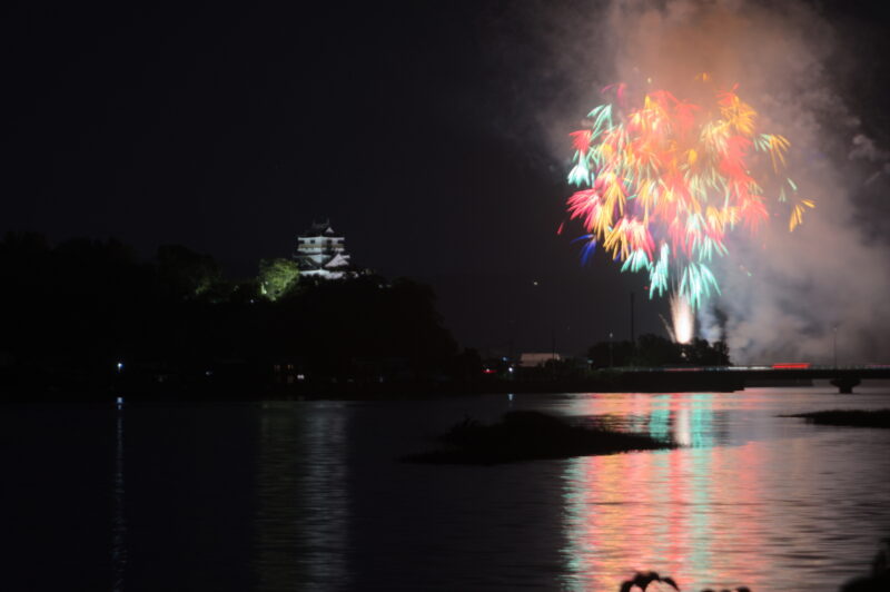 杵築市納涼花火大会(大分県杵築市)