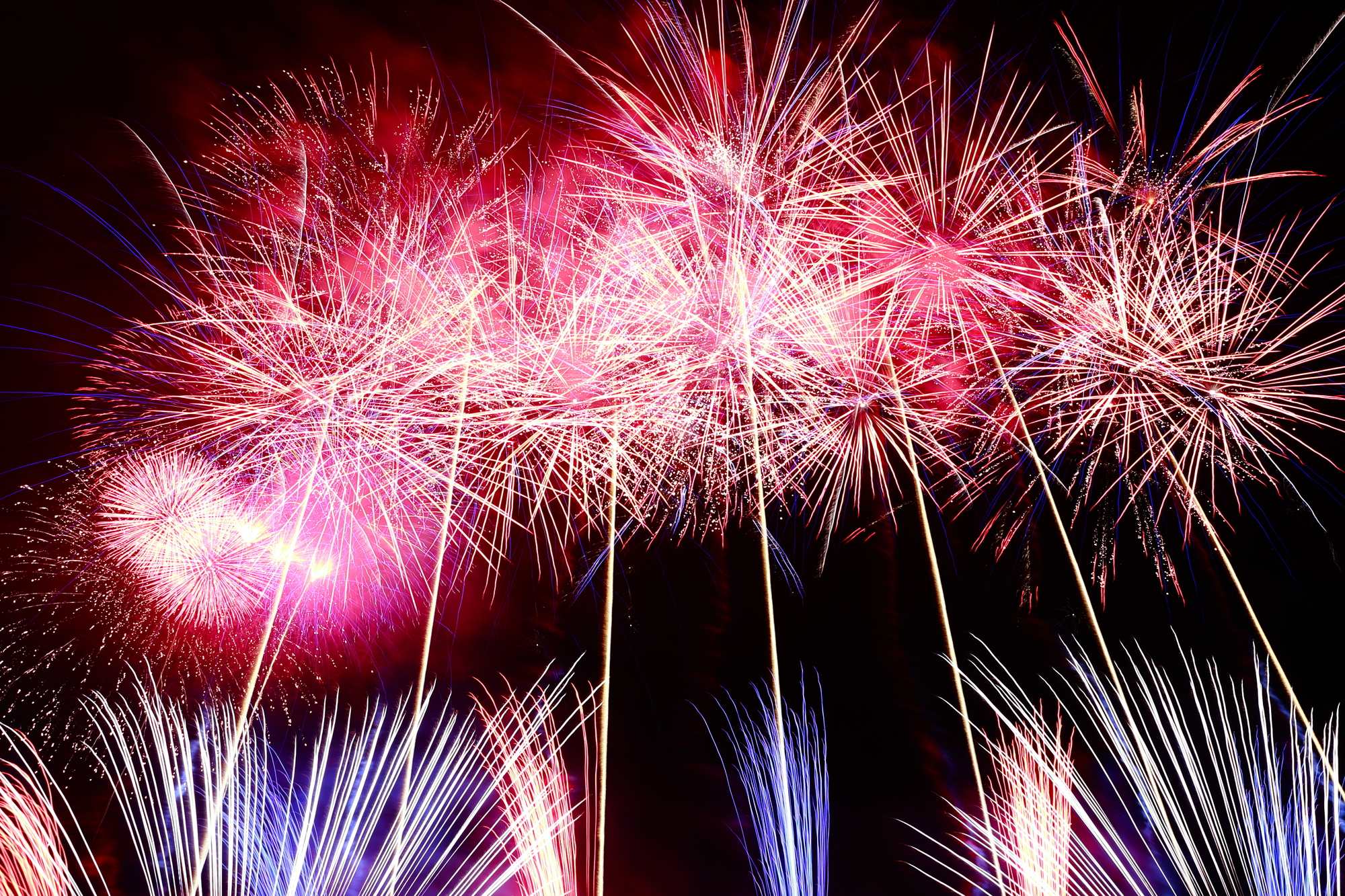 高知県の花火大会一覧