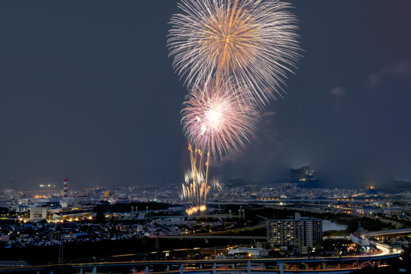 京都芸術花火(京都府京都市伏見区)