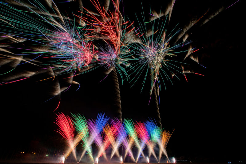 まきばの桜まつり夜桜花火(宮崎県小林市)