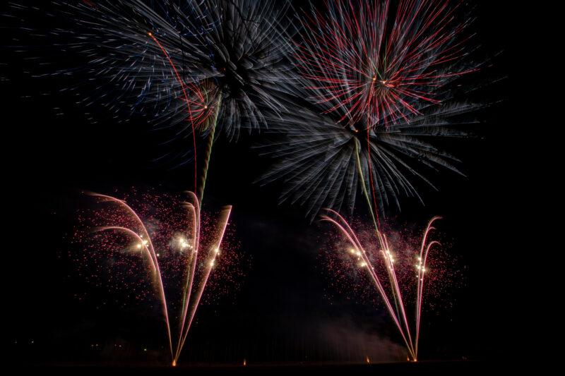 まきばの桜まつり夜桜花火(宮崎県小林市)