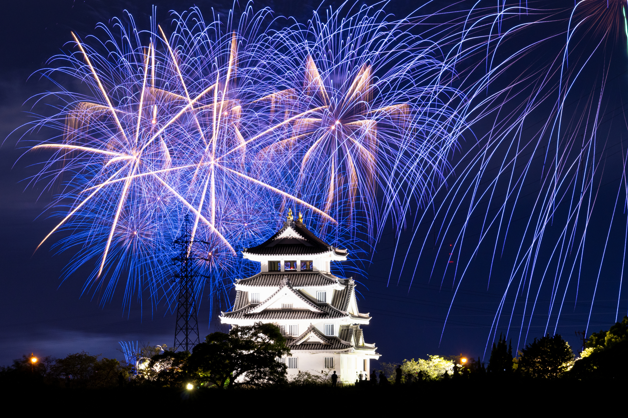 大垣花火大会(岐阜県大垣市)