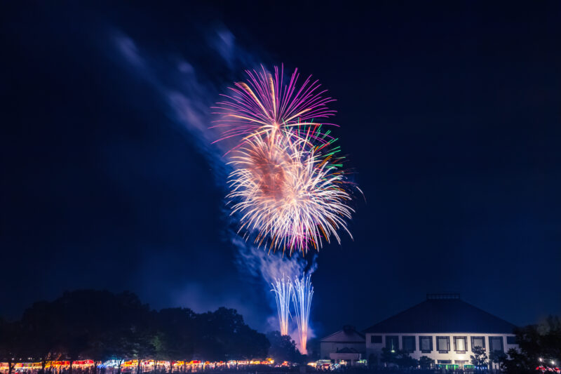 さいたま市花火大会岩槻文化公園会場(埼玉県さいたま市緑区)