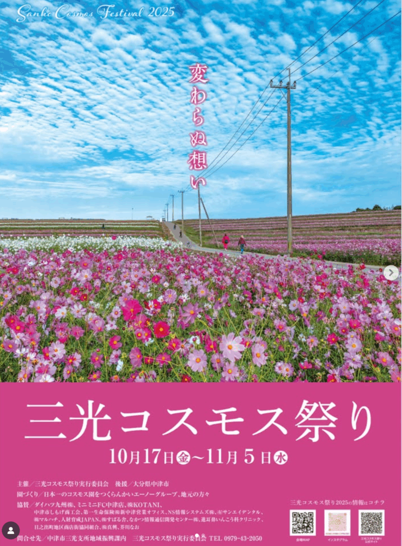 2025年三光コスモス祭り