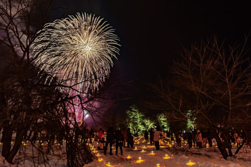 雪原カーニバルなかさと雪上花火(新潟県十日町市)