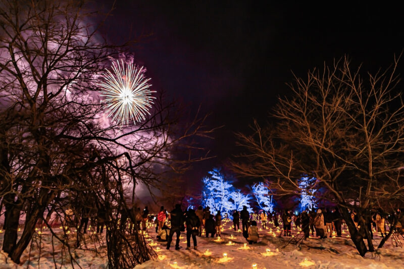 雪原カーニバルなかさと雪上花火(新潟県十日町市)