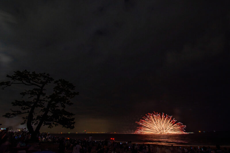 鈴鹿げんき花火大会(三重県鈴鹿市)