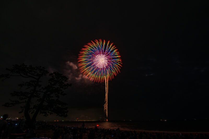 鈴鹿げんき花火大会(三重県鈴鹿市)