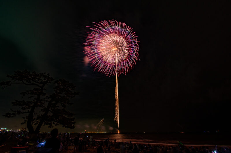 鈴鹿げんき花火大会(三重県鈴鹿市)