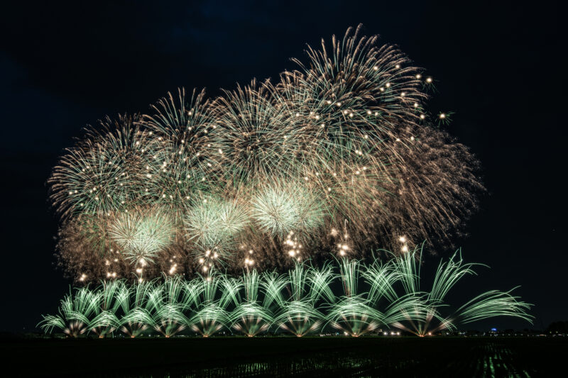 たまむら花火大会(群馬県玉村町)