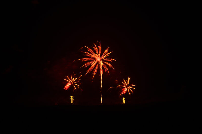 The絶景花火Mt.Fuji～世界花火博～(山梨県鳴沢村)