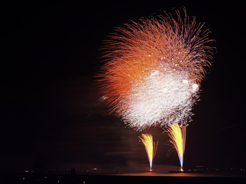 浦安市花火大会(千葉県浦安市)