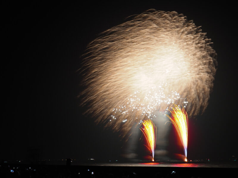 浦安市花火大会(千葉県浦安市)