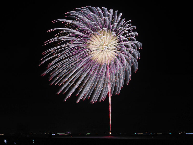 浦安市花火大会(千葉県浦安市)